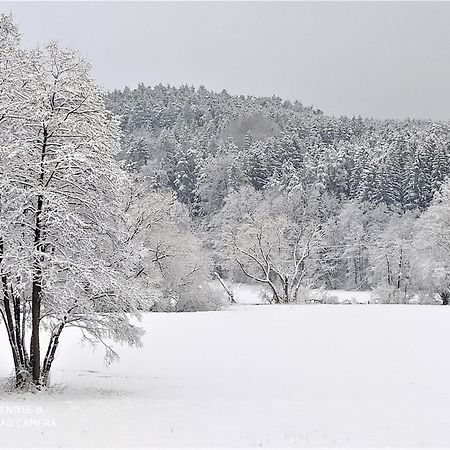 Mediterran-Skandinavisch-2 Burgthann Dış mekan fotoğraf